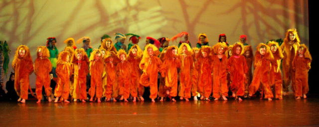 Shows & Performances Shows & Performances