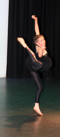 Shows & Performances Shows & Performances