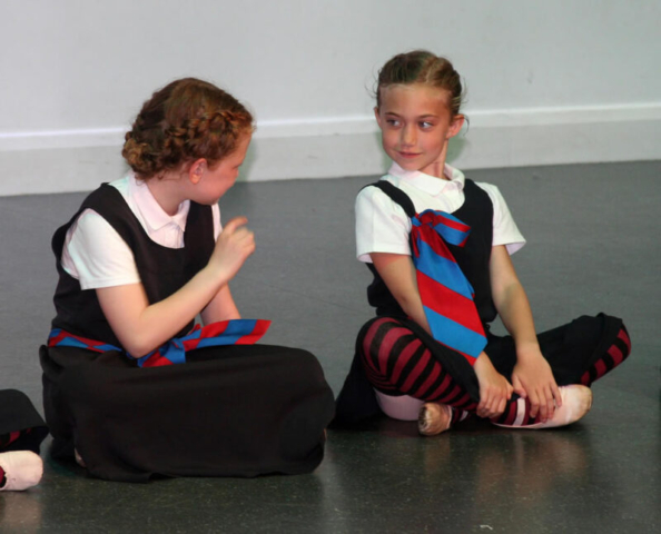 Shows & Performances Shows & Performances