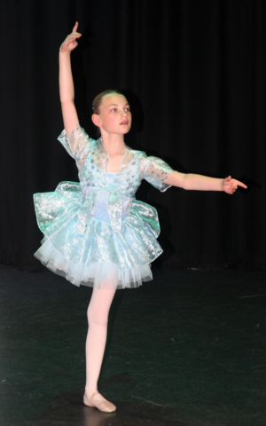 Shows & Performances Shows & Performances