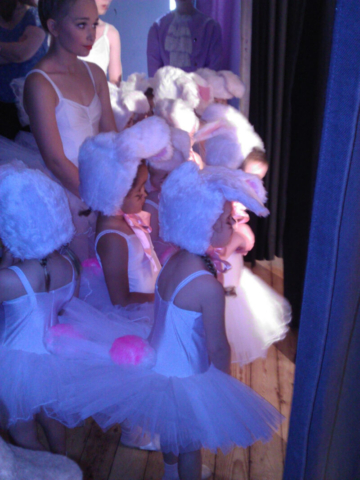 Shows & Performances Shows & Performances