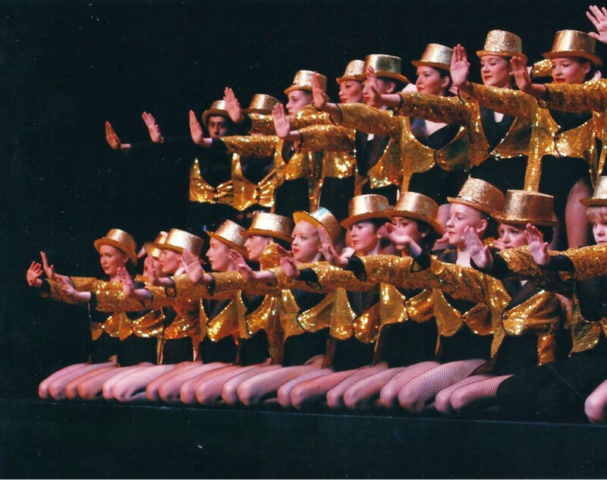 Shows & Performances Shows & Performances