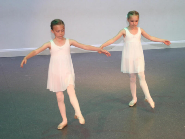 Shows & Performances Shows & Performances